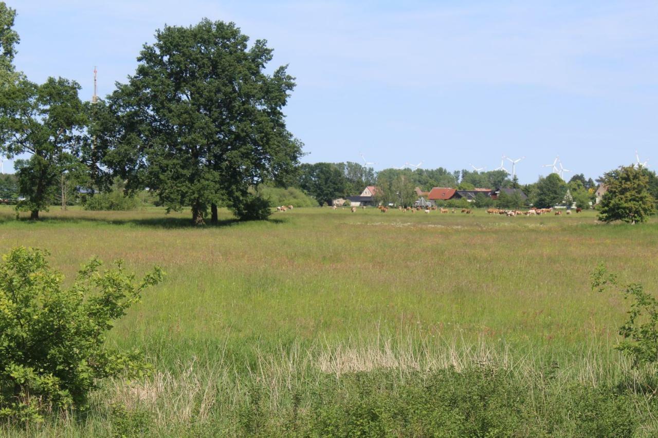 Spreewald Ferienwohnung Luebben Exteriér fotografie